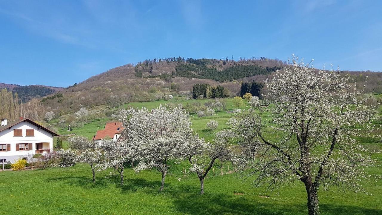 Le Breit Maison De Charme Avec Sa Dependance Breitenbach Exterior foto